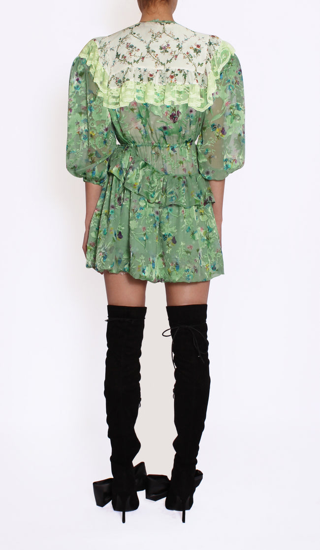 FREDA COLLAR